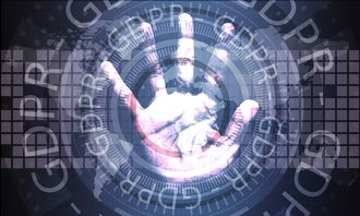 开云体育-体育新闻中心上线智能体育赛事数据可视化系统，智能体育运动平台